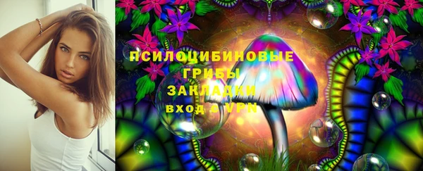 тгк Алексеевка